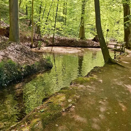 Ruhige Ferienwohnung Mit Direktem Seeblick & Balkon Am Dieksee